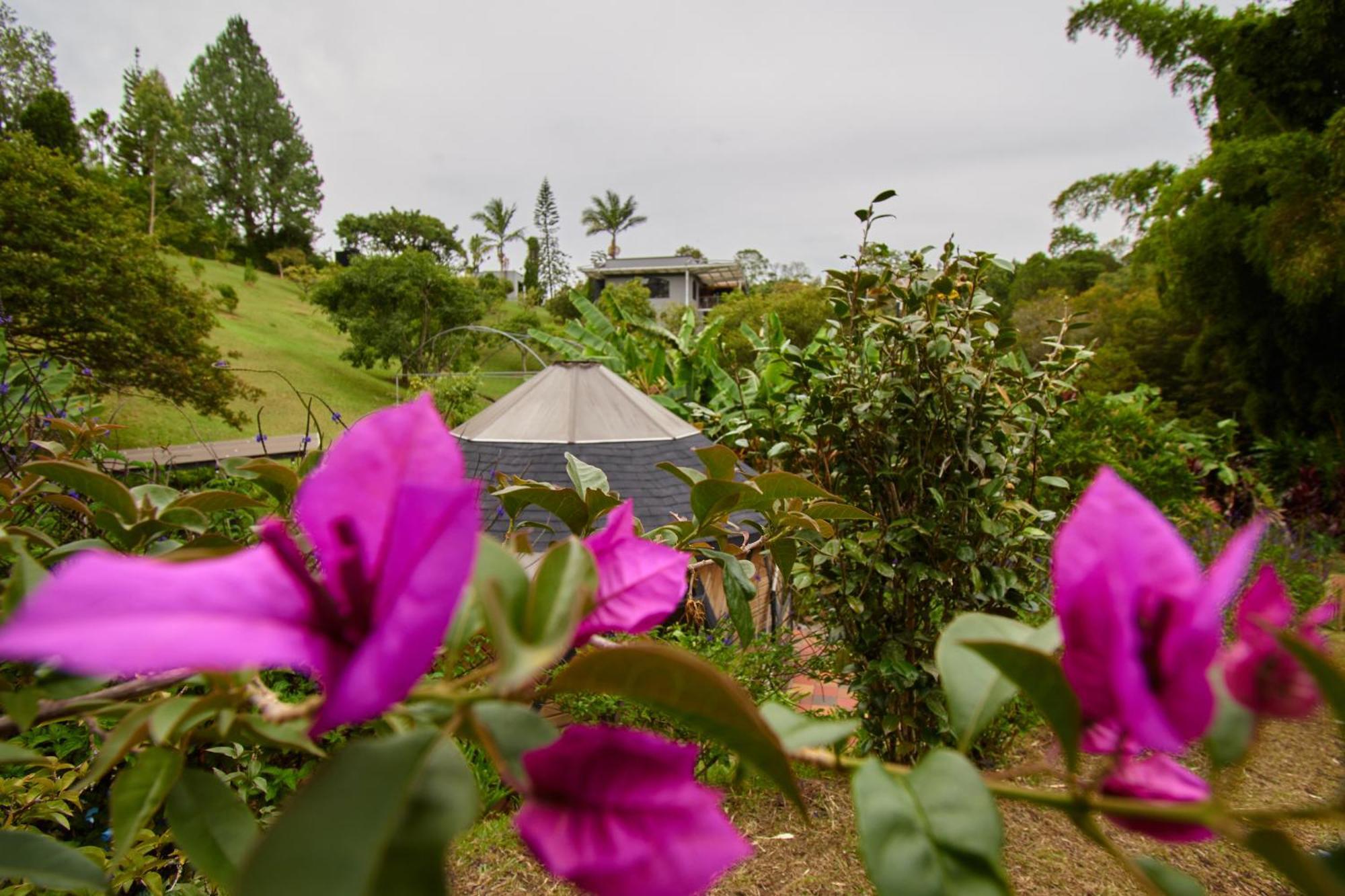 Kokumi By Bernalo Hotels Rionegro Eksteriør billede